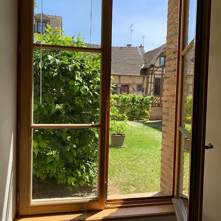 Au Coeur De Troyes, Atelier De La Cathedrale דירה